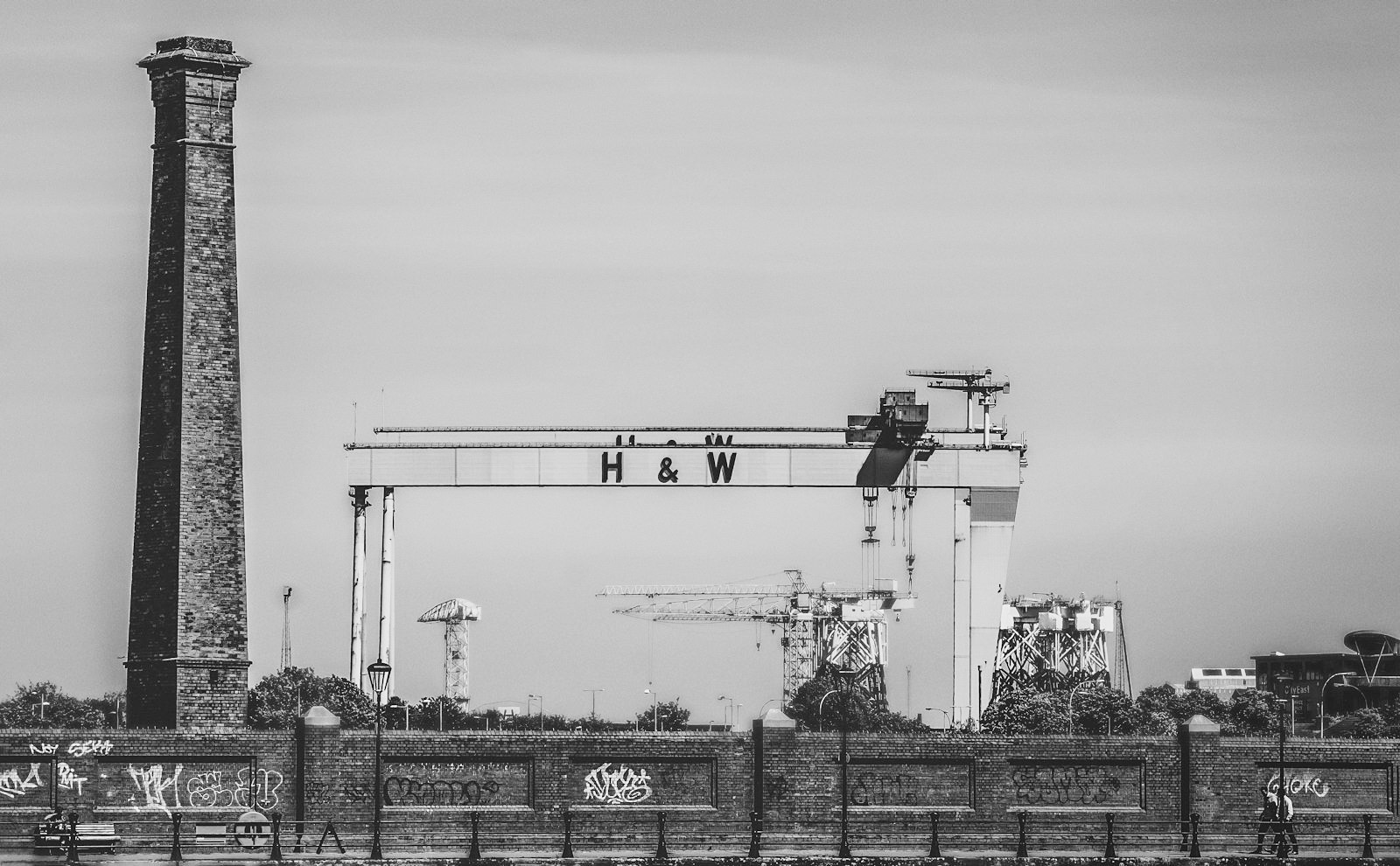 Samson and Goliath, the Harland & Wolff gantry cranes, above a brick wall in east Belfast